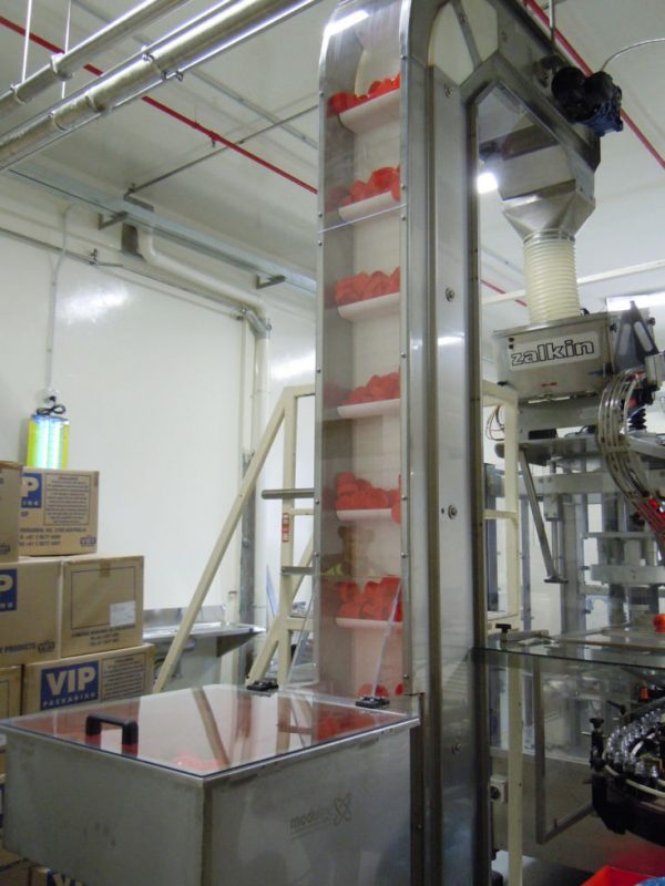 Eleveyor-Conveyor-16