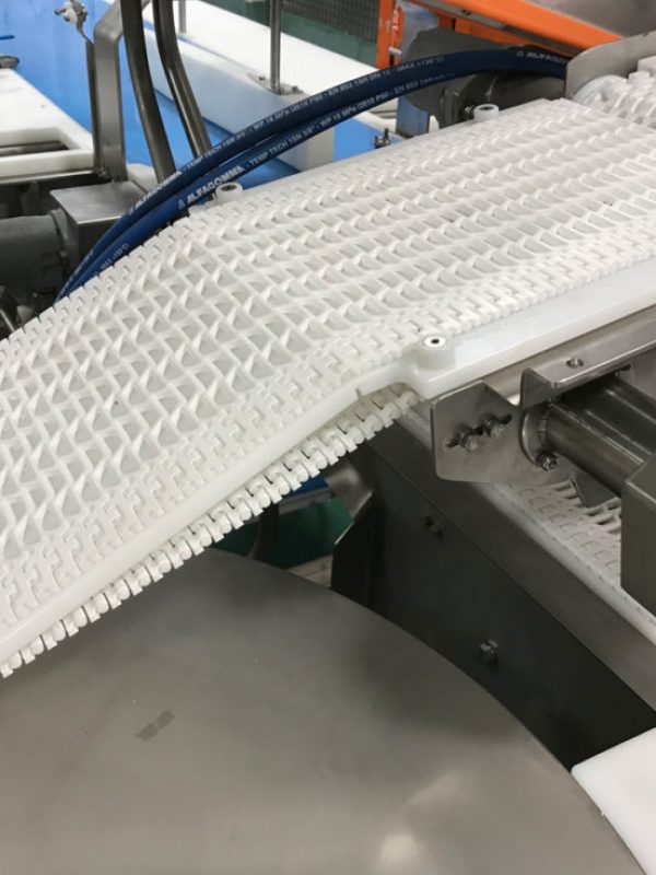 Livetranz-Conveyor-2