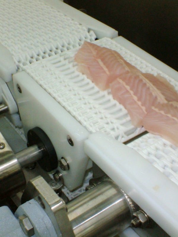 Livetranz-Conveyor-4