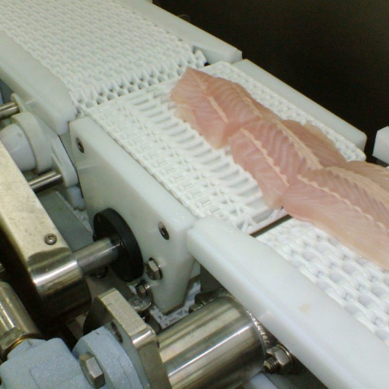 Livetranz-Conveyor-4