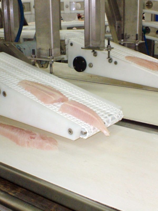Livetranz-Conveyor-5