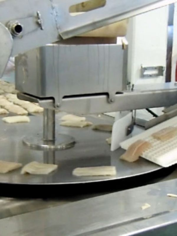 Livetranz-Conveyor-6
