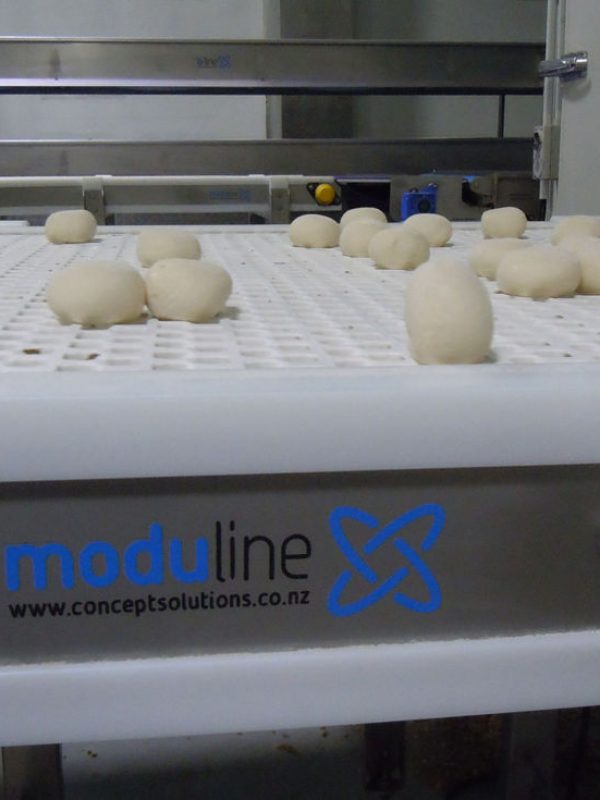 Moduline-Conveyor-25