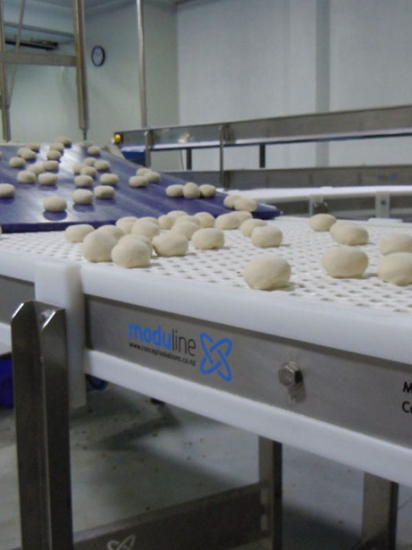 Moduline-Conveyor-26