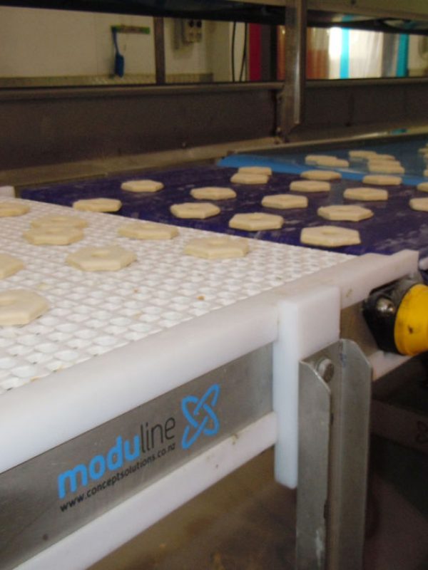 Moduline-Conveyor-36