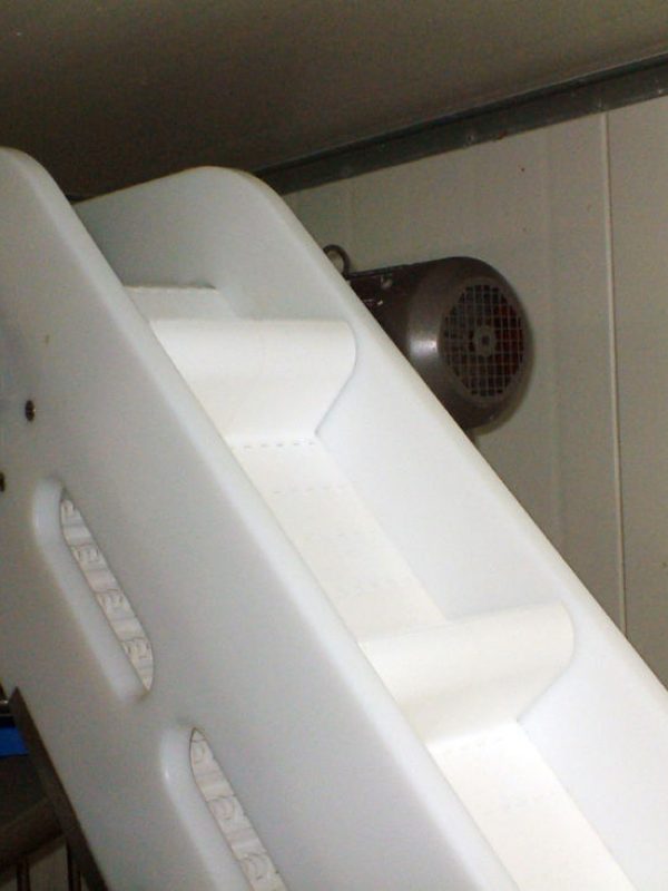Polydrive-Conveyor-3