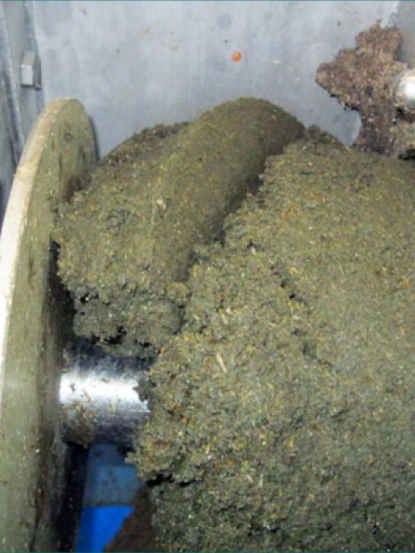 trident_mdpress-2